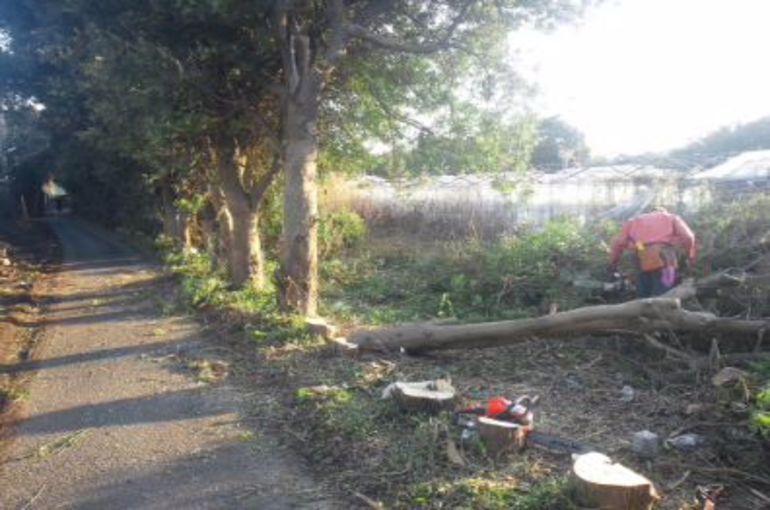 薪 余談 ログハウスや会社に関する情報を千葉県からブログという形でお届けします